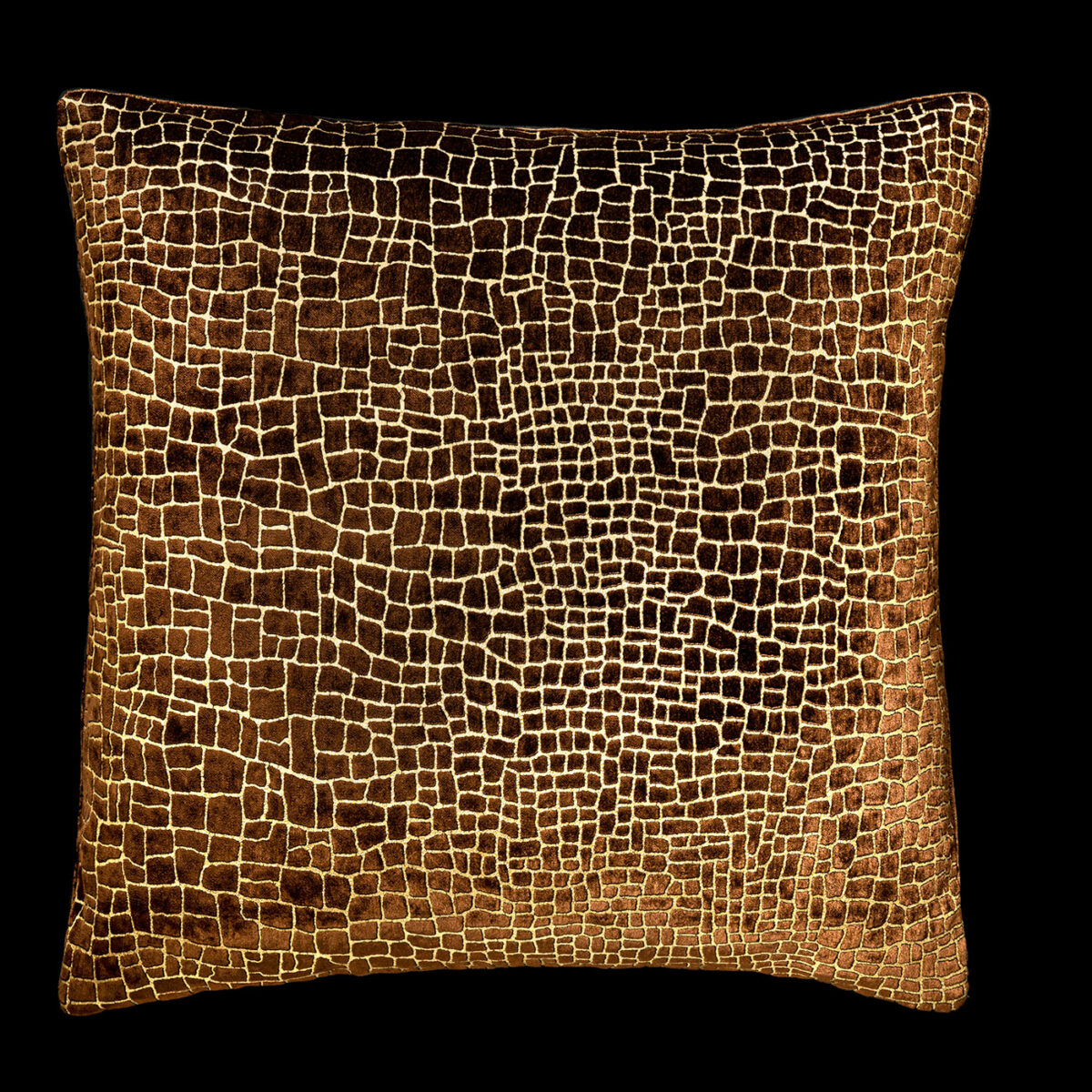 Delphos cushion